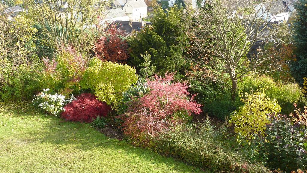 Apartament Eifel Panoramablick Kelberg Pokój zdjęcie